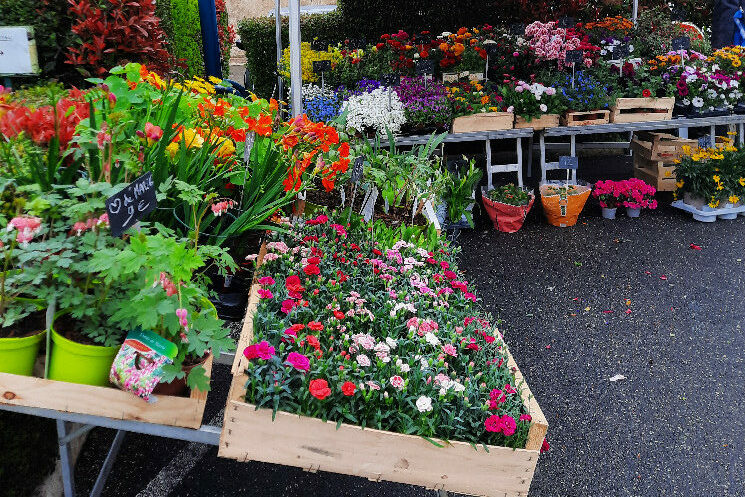 Lire la suite à propos de l’article 24ème édition des floralies à Tillac