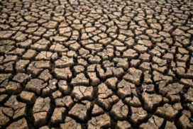 Sècheresse 2022 - Etat de catastrophe naturelle (Tillac)