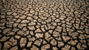 Sècheresse 2022 - Etat de catastrophe naturelle (Tillac)