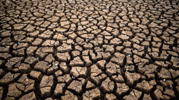 Lire la suite à propos de l’article Reconnaissance de l’état de catastrophe naturelle  – Sécheresse 2022