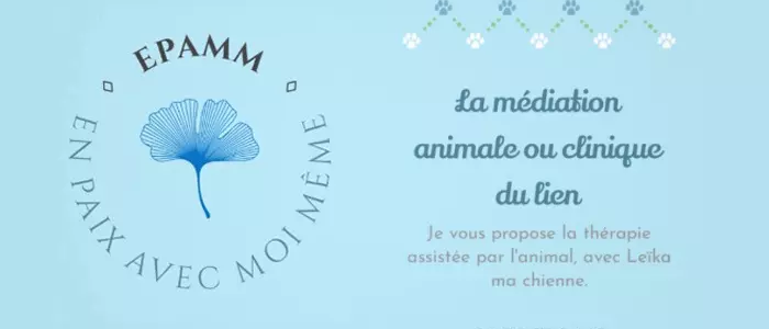 ophelie_guenichot_titre