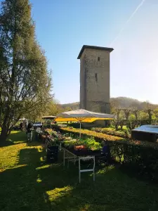 20260405_floralies_tillac_01