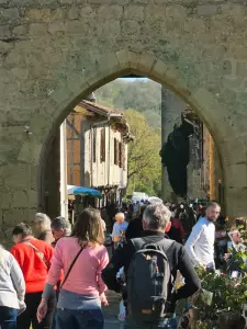 20260405_floralies_tillac_03