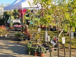 20260405_floralies_tillac_04