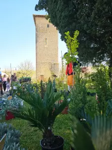 20260405_floralies_tillac_05