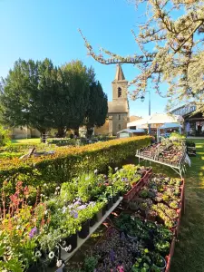 20260405_floralies_tillac_07