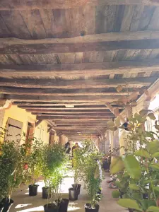 20260405_floralies_tillac_08