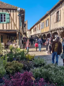 20260405_floralies_tillac_10