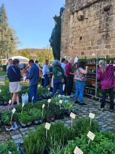 20260405_floralies_tillac_11