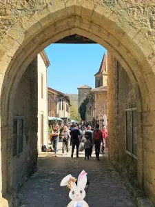 20260405_floralies_tillac_12