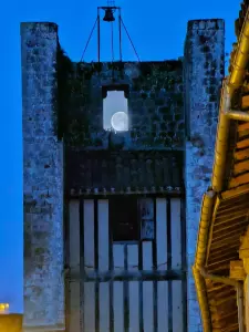 20260405_floralies_tillac_13