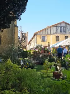 20260405_floralies_tillac_14