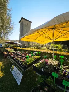 20260405_floralies_tillac_15