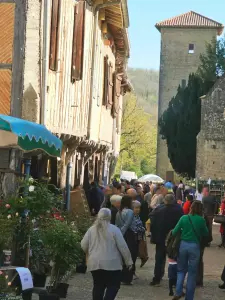 20260405_floralies_tillac_16