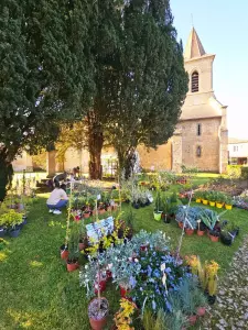 20260405_floralies_tillac_17