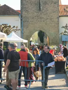 20260405_floralies_tillac_18