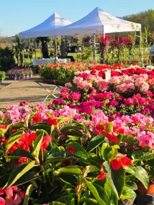 20260405_floralies_tillac_20