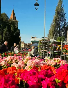 20260405_floralies_tillac_21